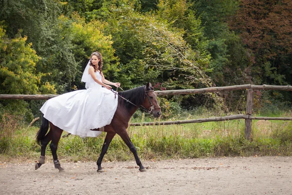 Panna młoda na koniu — Zdjęcie stockowe