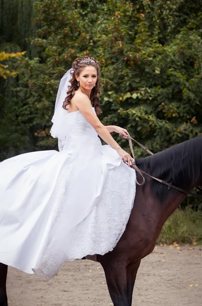 Sposa a cavallo — Foto Stock