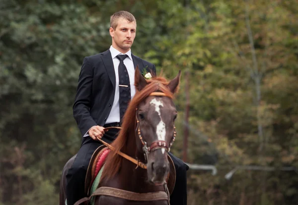 Groom on horse — Stock Photo, Image