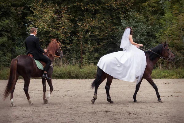 Casal de casamento em cavalos — Fotografia de Stock