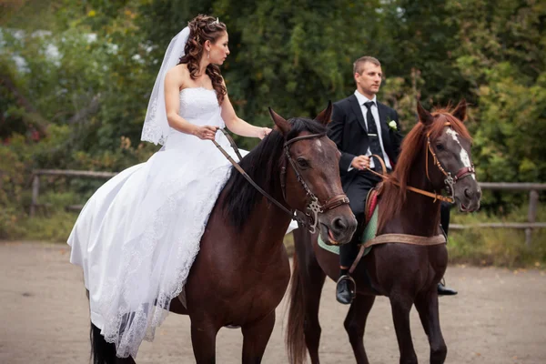 Pareja de boda a caballo — Foto de Stock