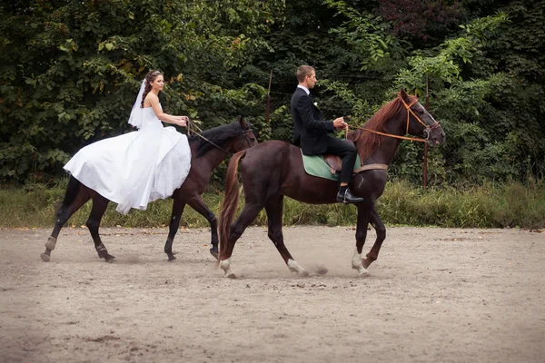 Matrimonio coppia su cavalli — Foto Stock