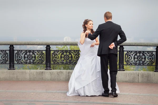 Hermosa pareja de boda —  Fotos de Stock