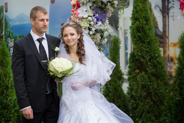 Giovane sposo e sposa — Foto Stock