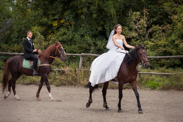 Casal de casamento em cavalos — Fotografia de Stock