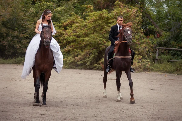 Matrimonio coppia su cavalli — Foto Stock