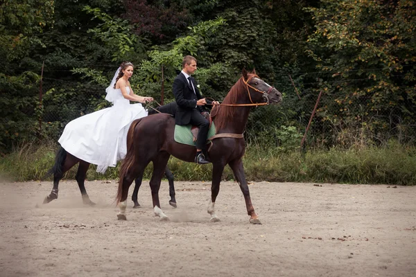 Bröllopsparet på hästar — Stockfoto