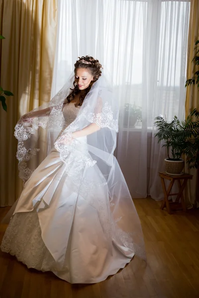 Beautiful brunette bride — Stock Photo, Image