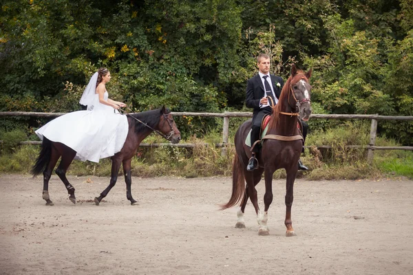 Bröllopsparet på hästar — Stockfoto