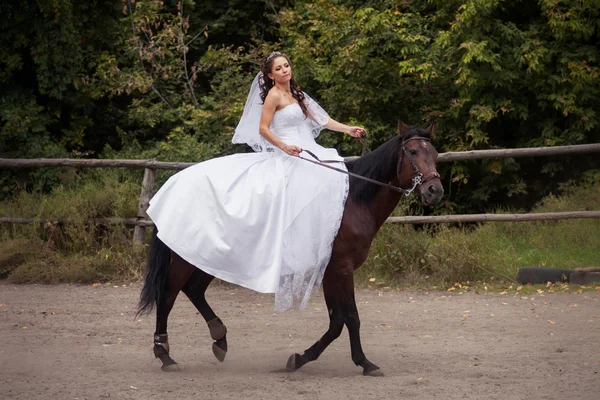 Nevěsta na koni — Stock fotografie