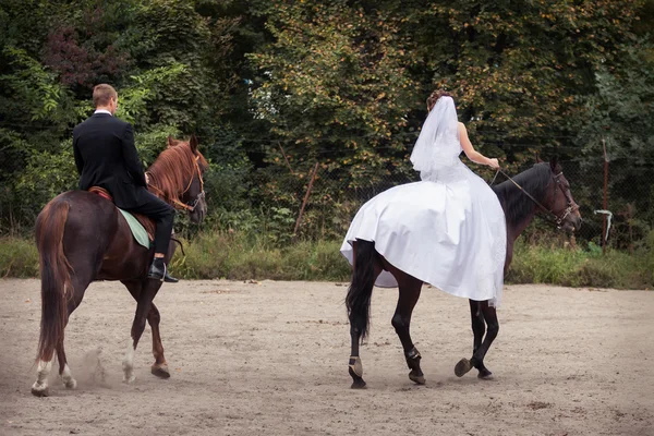 Pareja de boda a caballo — Foto de Stock