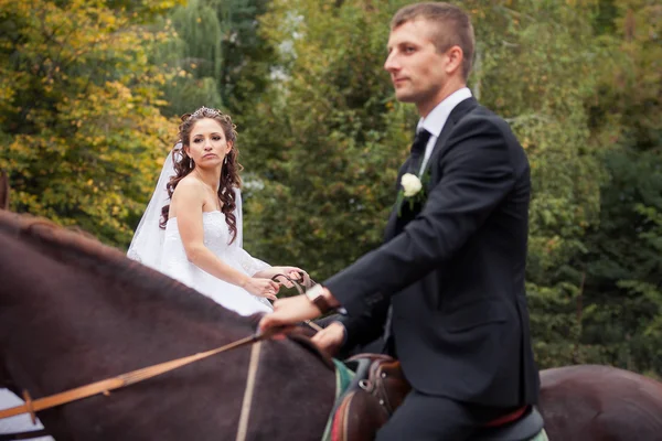 Svatební pár na koních — Stock fotografie