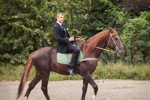 Bruidegom op paard — Stockfoto