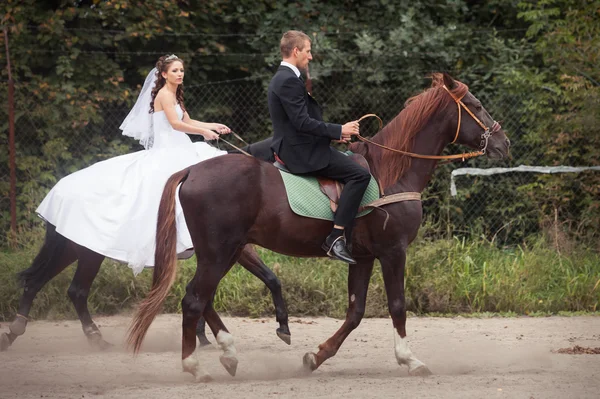 Couple de mariage à cheval — Photo