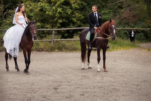 Couple de mariage à cheval — Photo