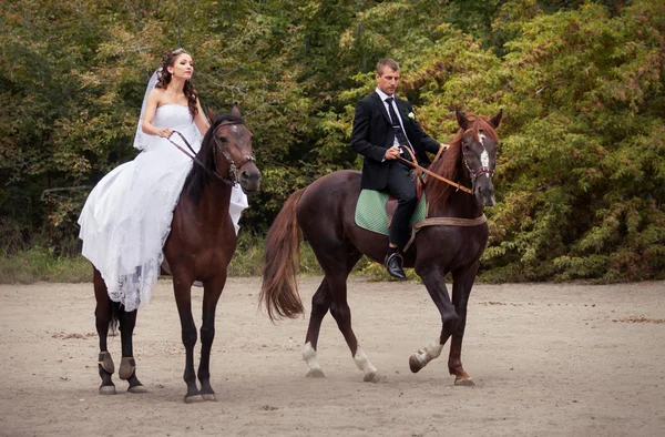 Wedding couple on horses — Stock Photo, Image