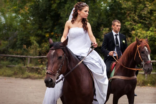 Casal de casamento em cavalos — Fotografia de Stock