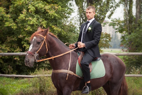 Bruidegom op paard — Stockfoto