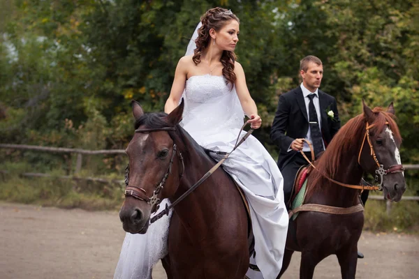 Casal de casamento em cavalos — Fotografia de Stock