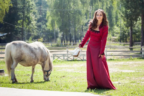 Menina morena e cavalo — Fotografia de Stock