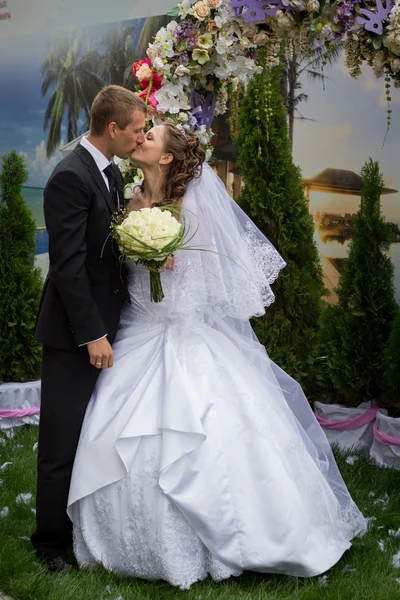 Young groom and bride — Stock Photo, Image