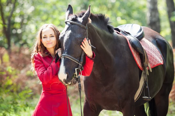 Brunette girl and horse — Stock Photo, Image