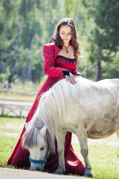 Menina morena e cavalo — Fotografia de Stock