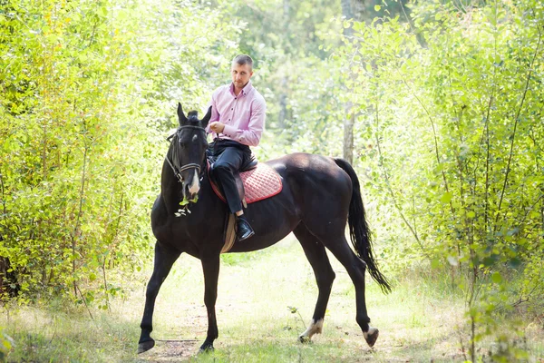 Knappe man op paard — Stockfoto