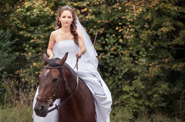 Braut auf Pferd — Stockfoto