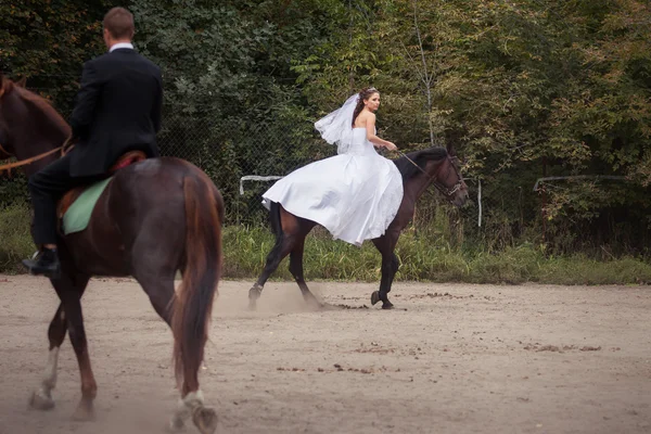 Wedding couple on horses — Stock Photo, Image