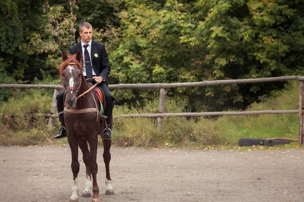 Sposo a cavallo — Foto Stock