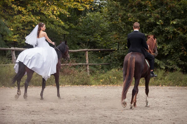 wedding couple on horses