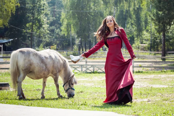 Menina morena e cavalo — Fotografia de Stock