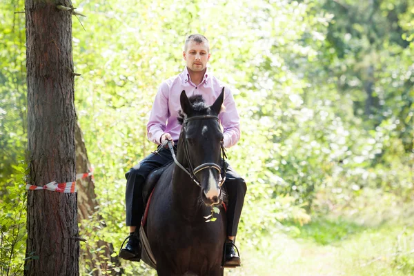 Handsome man on horse — Stock Photo, Image