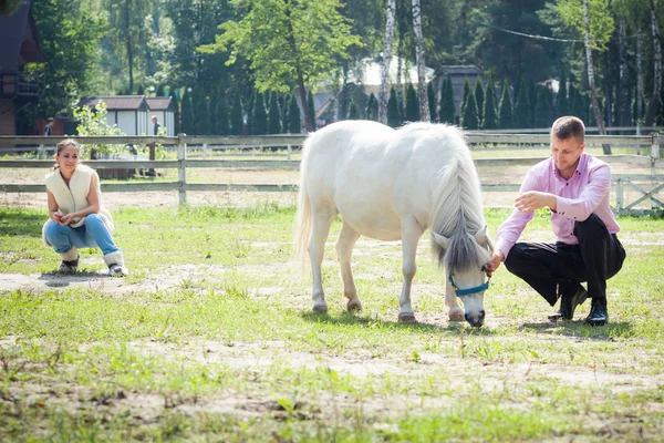 Man, tjej och häst — Stockfoto