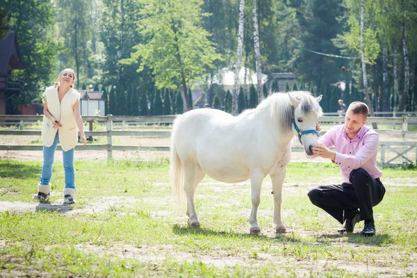 Mężczyzna, dziewczyna i koń — Zdjęcie stockowe