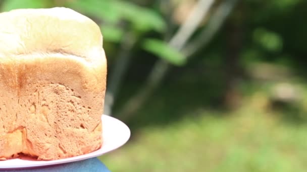 Pane intero bianco fatto in casa — Video Stock