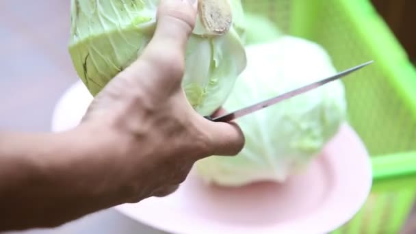 Produtos hortícolas para borscht — Vídeo de Stock