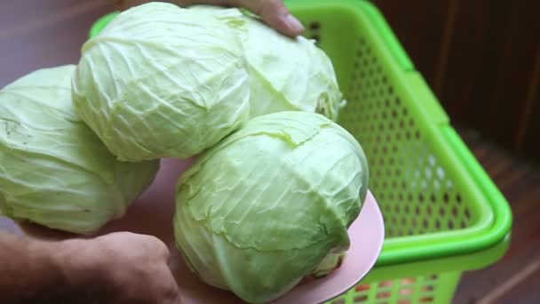 Légumes pour le bortsch — Video