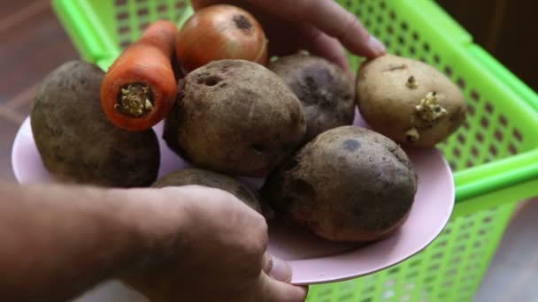 Légumes pour le bortsch — Video