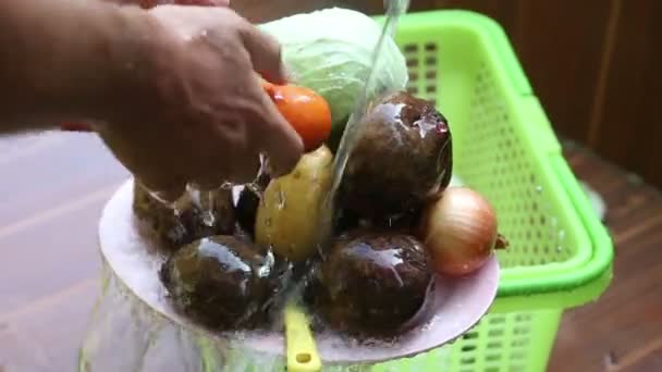 Vegetables for borscht — Stock Video