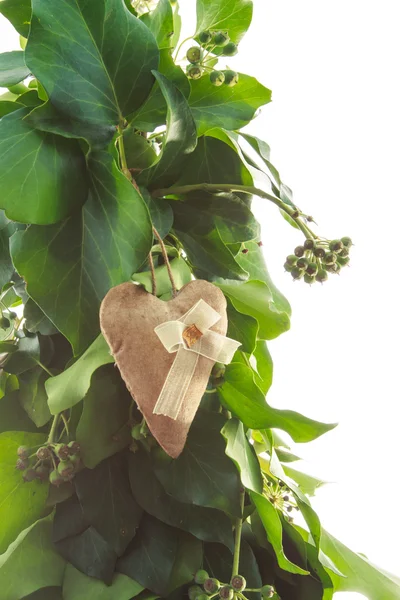 Gingerbread heart handmade toy — Stock Photo, Image