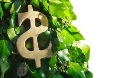 Altın dolar simgesi