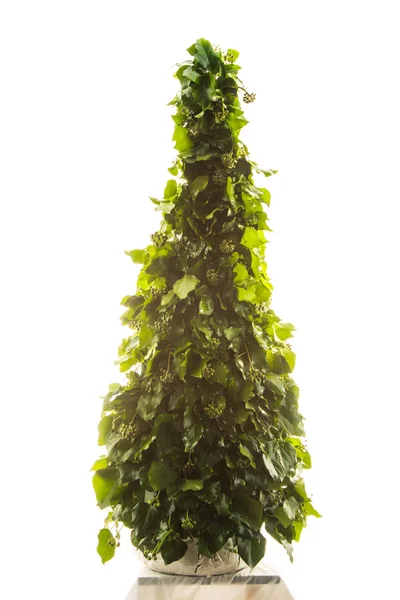 Exkluzivní ručně vyráběné novoroční strom — Stock fotografie