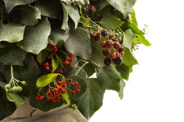 BlackBerry yılbaşı ağacı