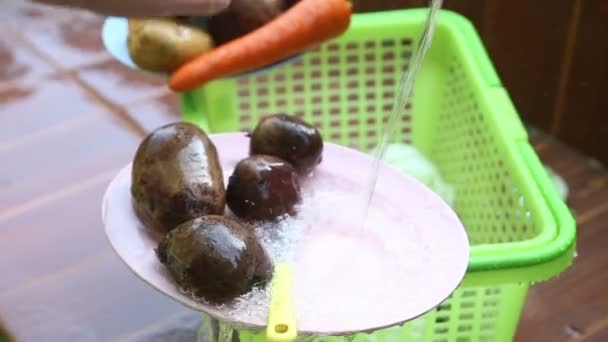 Male hands washing beetroots — Stock Video