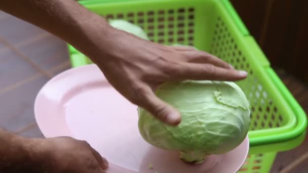 美味的成熟白菜 — 图库视频影像