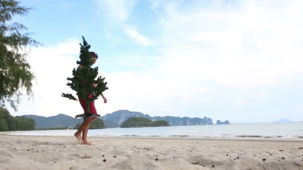 Людина з зеленим ялиновим деревом — стокове відео