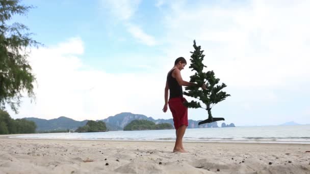 緑のモミの木を持つ男 — ストック動画