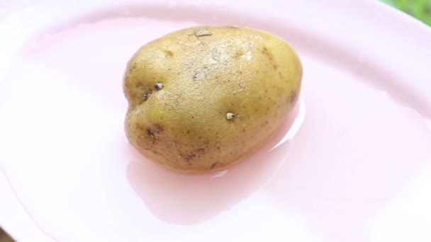 Smaczny ziemniak na talerzu — Wideo stockowe